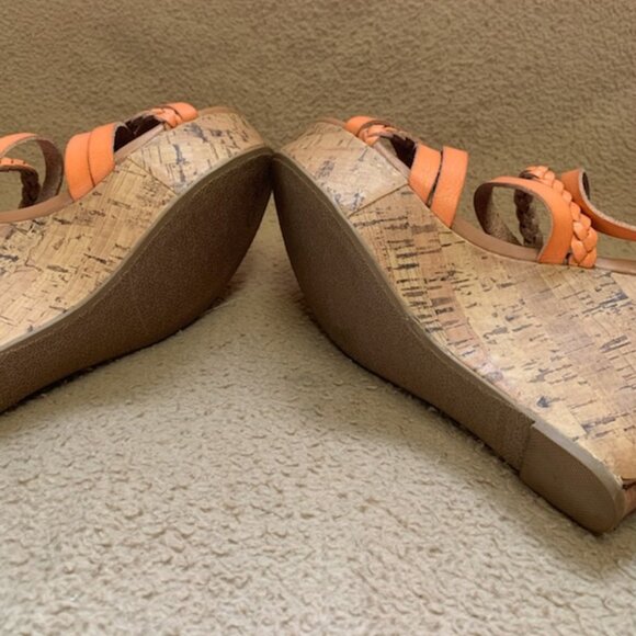 REPORTS - Picture 3 of 3